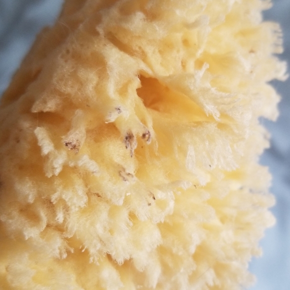 Natural Sponge - Picture 4 of 7